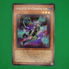 MALICE P Cheshire Cat (26LP-JP018) ロゴあり