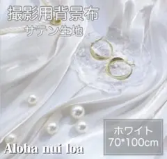 Item thumbnail for item b9278ff5-1108-420c-a169-1948b9470310