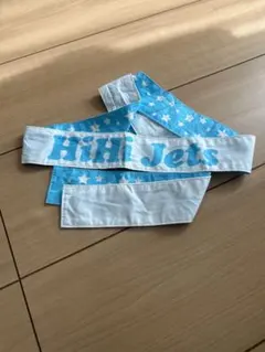 Item thumbnail for item e5e47a3b-8911-402b-af6f-7492c727b800