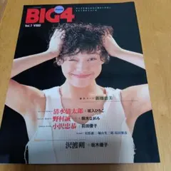 Item thumbnail for item a10b6aee-3ab7-4241-928f-79c568d82879