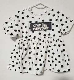 Item thumbnail for item 9061c1f0-f2f1-42bf-9d21-ed1fac644b3c