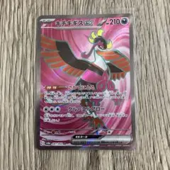 キチキギスex SR スカーレット&バイオレット 拡張パック ナイトワンダラー…