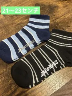Dickies 靴下 23ディッキーズ靴下22ディッキーズソックス　靴下21