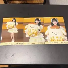 ニアジョイ ≒JOY大信田美月 生写真 コンプ ポムポムプリンコラボ
