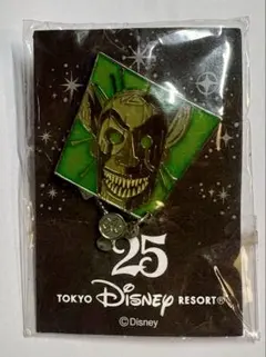 東京ディズニーリゾート 25周年 ピンバッジ