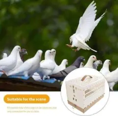 折りたたみ式 鳩ケージ 鳥かご ペット輸送 旅行用のサムネイル