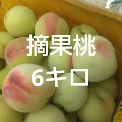 福島県産 摘果桃 あかつき 中～大粒 6kg 送料込みのサムネイル