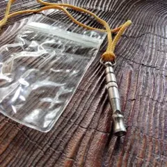 Item thumbnail for item 2f9f62ed-b4f1-442f-8e69-4b28e85fb4cb