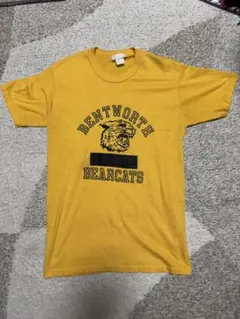 【80s】usa製vintage college tshirt