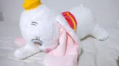 Item thumbnail for item b0aa7e02-5f19-436e-9732-76fad2c6af40