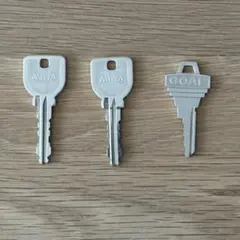 Item thumbnail for item 145e6eea-fa10-4633-968e-795496a8baef