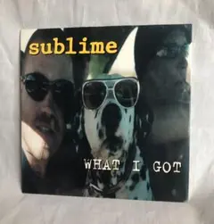 レア　貴重　sublime WHAT I GOT 7インチ　レコード　サブライム