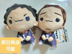 ハイキュー東峰旭　澤村大地　ハイキュー!!もちぴこぬいぐるみ