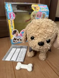 ココさかだちして