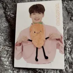 SEVENTEEN Happy Ending SHOW CASE ウォヌ　トレカ