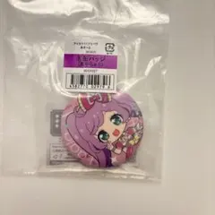 真中らぁら　缶バッジ➕キーホルダーセット プリパラ ダッシュストア 缶バッジ 真中らぁら - メルカリ