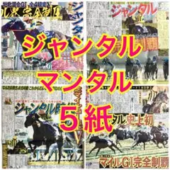 5紙セット マイルCS ジャンタルマンタル 快勝 2025年11月24日