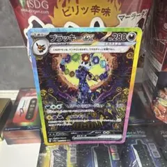 2026年最新】ブラッキーEX sar テラスタルフェスexの人気アイテム