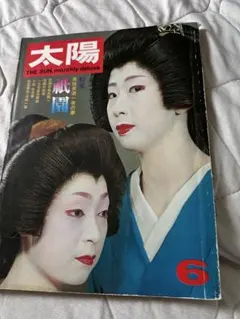 2025年最新】芸妓 写真の人気アイテム - メルカリ