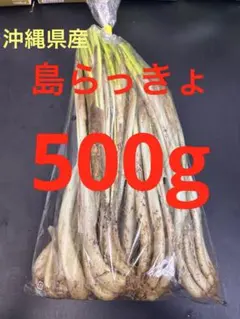 直売所コスパ最強〉沖縄県産 島らっきょう B品 約750g【ネコポス】①