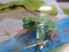 Pussyfoot様 リクエスト 2点 まとめ商品