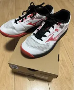 MIZUNO SKY BLASTER バドミントンシューズ 25cm