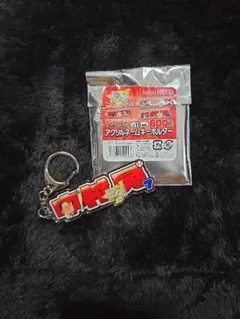 ソフトバンクホークス アクリルネームキーホルダー