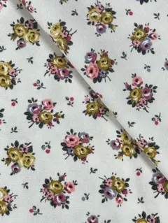 Item thumbnail for item e73d0082-897c-44b5-89e9-2b410be6a331