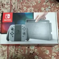 Nintendo Switch 本体 グレー＋おまけ