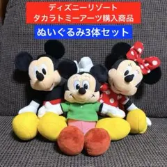 ディズニー ミッキーマウス ミニーマウス ぬいぐるみセット ミキミニ マグネット