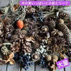 木の実いっぱいと小枝とリーフ 大量 ドライフラワー 花材 リース ボタニカル