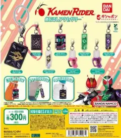 仮面ライダー めじるしアクセサリー