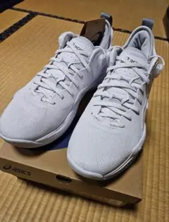 アシックス ノヴァサージロー2 27cm
