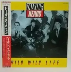 帯付レコード TALKING HEADS WILD LIFE 国内盤 帯付 美品