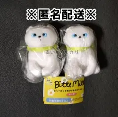 ねこ ビッテミッテ ぬいぐるみボールチェーン ガチャ