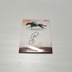 ✰︎競馬 EPOCH HORSE RACING シャケトラ 田辺裕信 直筆サイン✰︎ ✰︎競馬 EPOCH HORSE RACING シャケトラ 田辺裕信 直筆サイン 競馬