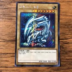 青眼の白龍　韓国 2025年最新】青眼の白龍 韓国の人気アイテム - メルカリ