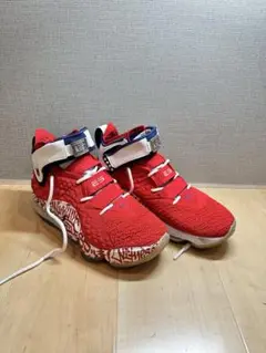 ⭐ナイキ Lebron 17 Graffiti Remix Red