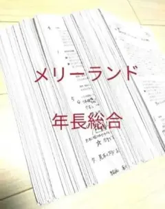 2025年最新】メリーランドの人気アイテム - メルカリ