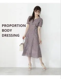 PROPORTION BODY DRESSING ギンガムシアーワンピース M