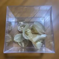 Item thumbnail for item 87a80d86-5802-423f-90d1-c757e3319668