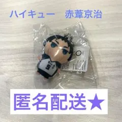 ハイキュー　きゃらぷてぃマスコット♡赤葦京治