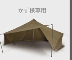 新品未使用　ギギ1tc ZANE ARTS(ゼインアーツ) GIGI-1 TC - STANDARD point