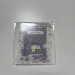 JOCHUM 硬質ケース ピーハイ