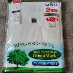 GUNZE 綿100% 下着 Mサイズ 2枚組