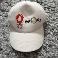 2025年最新】万博 帽子の人気アイテム - メルカリ