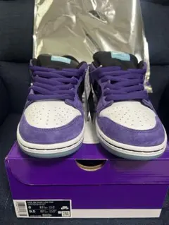 Hayley Wilson × Nike SB Dunk Low Pro