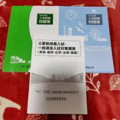 Item thumbnail for item 06f6ebf8-06c2-4c0f-b9f5-3b2941262932