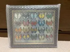 ポケモン　ビビヨン　ピンズコレクション　額縁付き　全20種セット