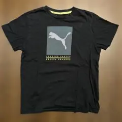 PUMA 黒 Tシャツ Lサイズ FOREVER FASTER